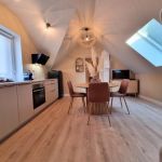 city-break - Le Charme - SAINT-AMAND-LES-EAUX - Nord