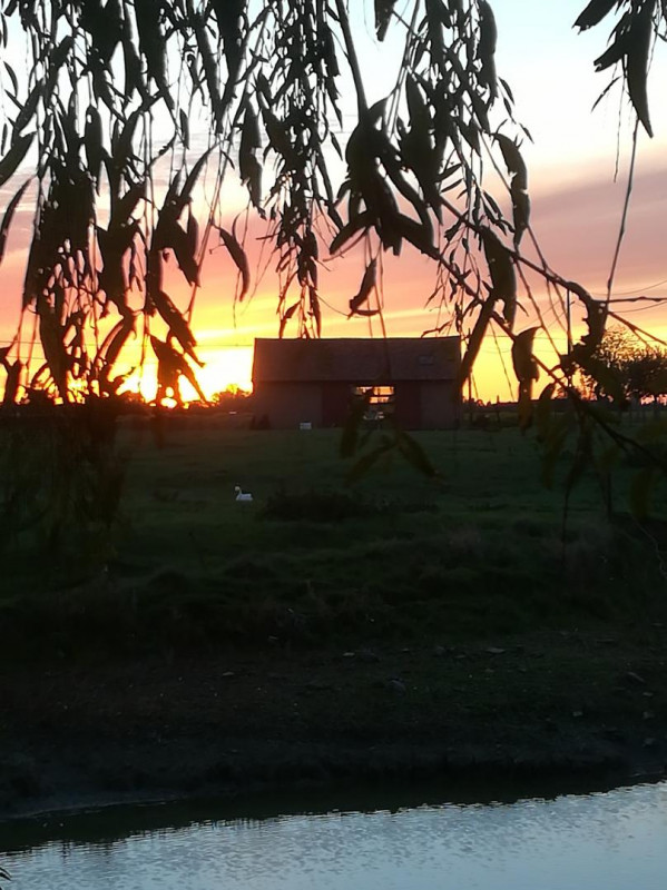 photo 39