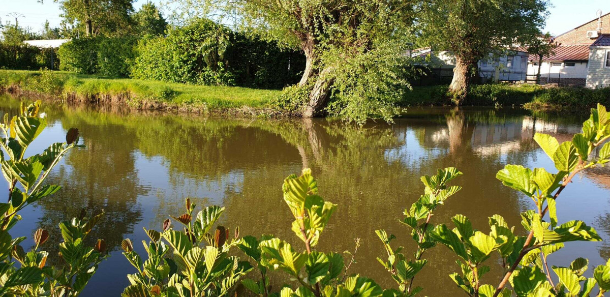 photo 51