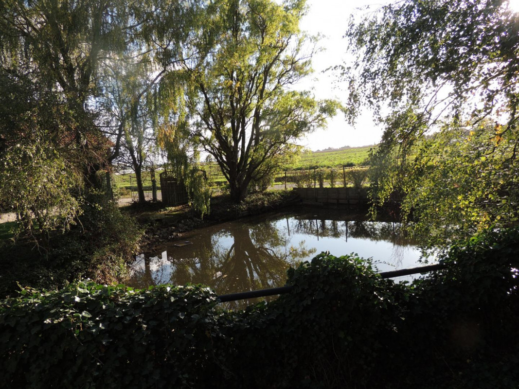 photo 35